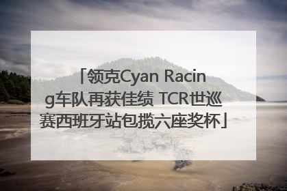 领克Cyan Racing车队再获佳绩 TCR世巡赛西班牙站包揽六座奖杯