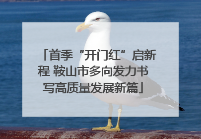 首季“开门红”启新程 鞍山市多向发力书写高质量发展新篇
