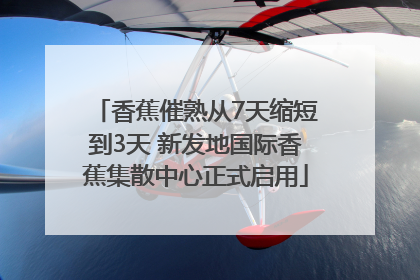 香蕉催熟从7天缩短到3天 新发地国际香蕉集散中心正式启用