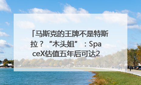 马斯克的王牌不是特斯拉？“木头姐”：SpaceX估值五年后可达2.5万亿美元！