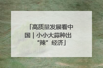 高质量发展看中国｜小小大蒜种出“辣”经济