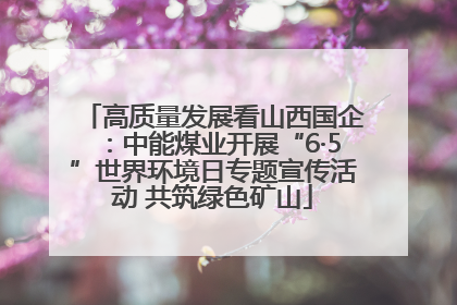 高质量发展看山西国企：中能煤业开展“6·5”世界环境日专题宣传活动 共筑绿色矿山