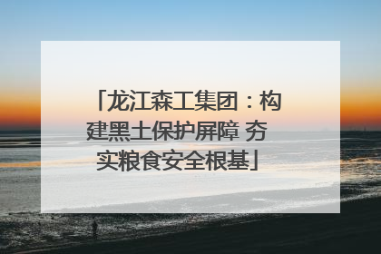 龙江森工集团：构建黑土保护屏障 夯实粮食安全根基