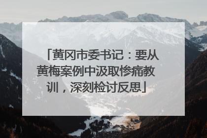 黄冈市委书记：要从黄梅案例中汲取惨痛教训，深刻检讨反思
