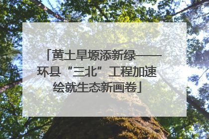 黄土旱塬添新绿——环县“三北”工程加速绘就生态新画卷