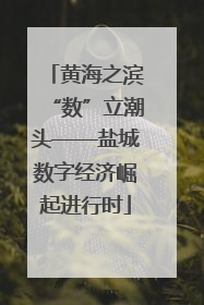 黄海之滨“数”立潮头——盐城数字经济崛起进行时