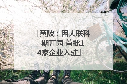 黄陂：因大联科一期开园 首批14家企业入驻