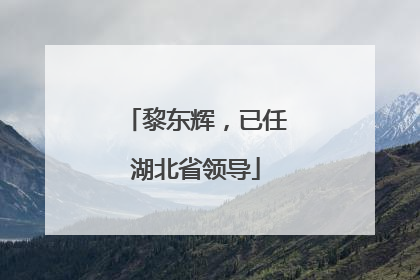 黎东辉，已任湖北省领导