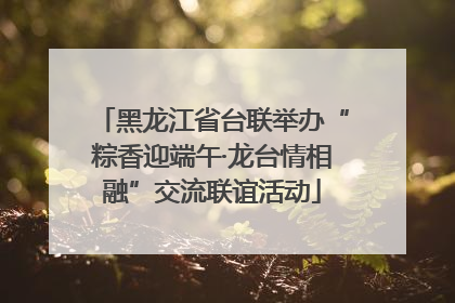 黑龙江省台联举办“粽香迎端午·龙台情相融”交流联谊活动