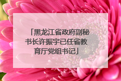 黑龙江省政府副秘书长许振宇已任省教育厅党组书记