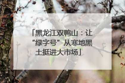 黑龙江双鸭山：让“绿字号”从寒地黑土挺进大市场