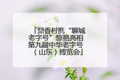 鼎香村携“聊城老字号”惊艳亮相第九届中华老字号（山东）博览会
