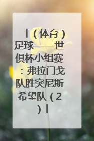 （体育）足球——世俱杯小组赛：弗拉门戈队胜突尼斯希望队（2）