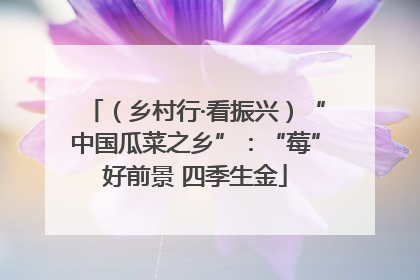 （乡村行·看振兴）“中国瓜菜之乡”：“莓”好前景 四季生金