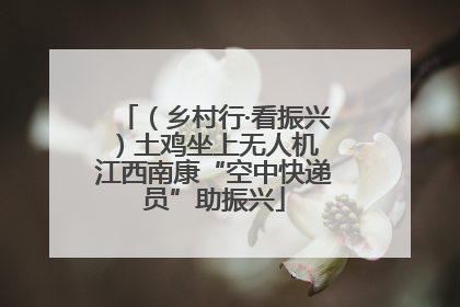 （乡村行·看振兴）土鸡坐上无人机 江西南康“空中快递员”助振兴