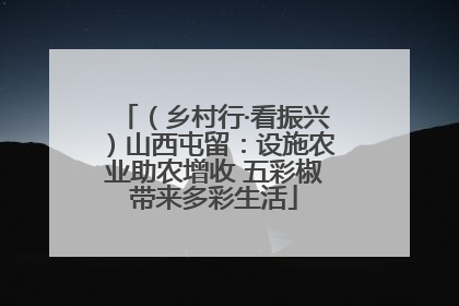 （乡村行·看振兴）山西屯留：设施农业助农增收 五彩椒带来多彩生活