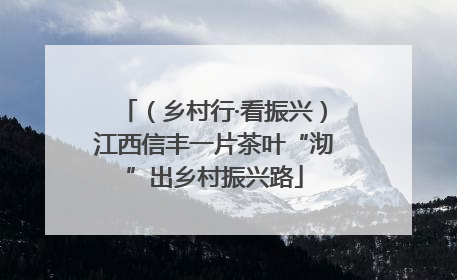 （乡村行·看振兴）江西信丰一片茶叶“沏”出乡村振兴路