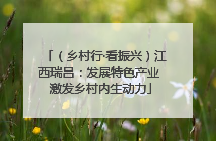 （乡村行·看振兴）江西瑞昌：发展特色产业 激发乡村内生动力