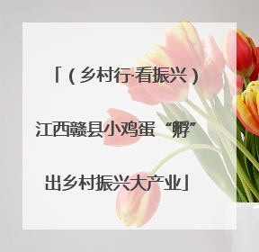 （乡村行·看振兴）江西赣县小鸡蛋“孵”出乡村振兴大产业