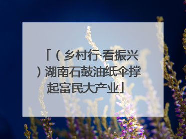 （乡村行·看振兴）湖南石鼓油纸伞撑起富民大产业