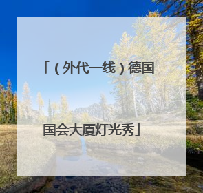 （外代一线）德国国会大厦灯光秀