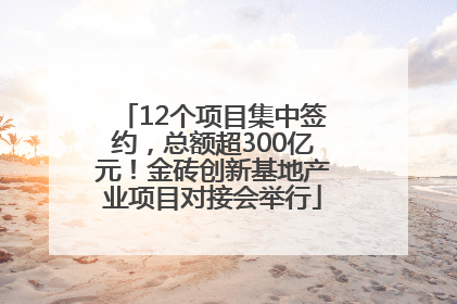 12个项目集中签约，总额超300亿元！金砖创新基地产业项目对接会举行
