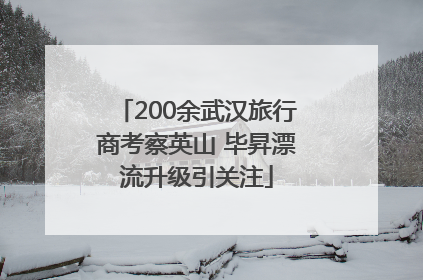 200余武汉旅行商考察英山 毕昇漂流升级引关注