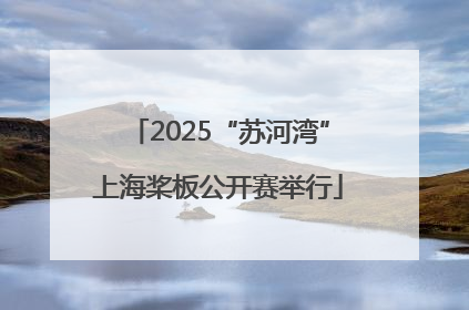 2025“苏河湾”上海桨板公开赛举行