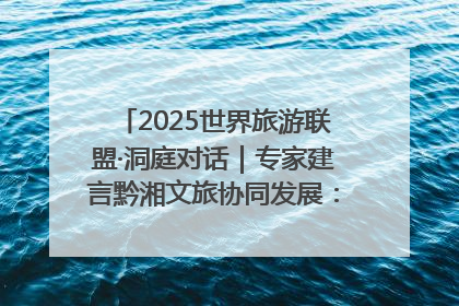 2025世界旅游联盟·洞庭对话｜专家建言黔湘文旅协同发展：聚焦产品稀缺性 深化区域经验共享