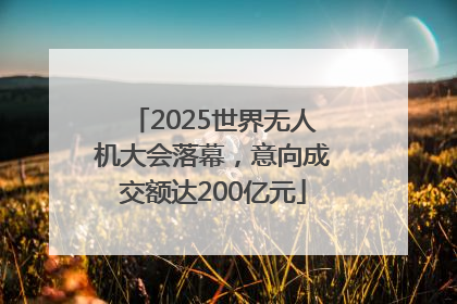 2025世界无人机大会落幕，意向成交额达200亿元