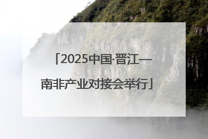 2025中国·晋江—南非产业对接会举行