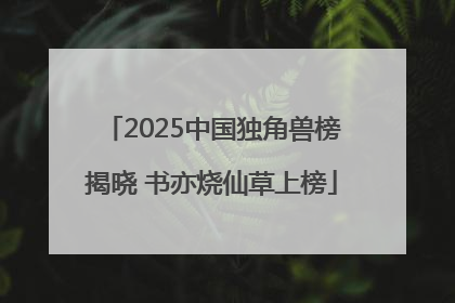 2025中国独角兽榜揭晓 书亦烧仙草上榜