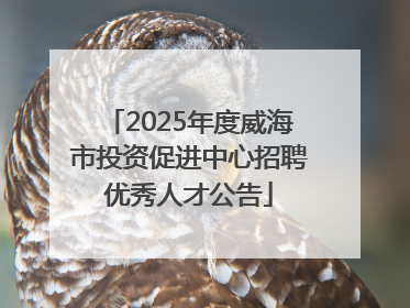 2025年度威海市投资促进中心招聘优秀人才公告
