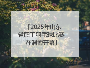 2025年山东省职工羽毛球比赛在淄博开幕