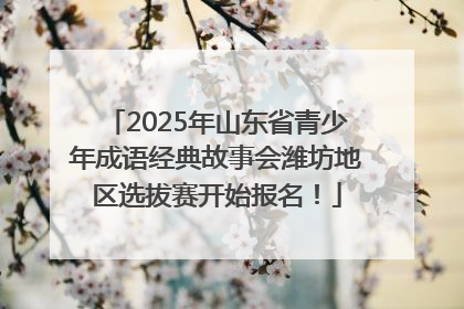 2025年山东省青少年成语经典故事会潍坊地区选拔赛开始报名！