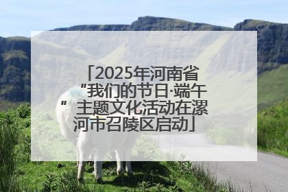 2025年河南省“我们的节日·端午”主题文化活动在漯河市召陵区启动