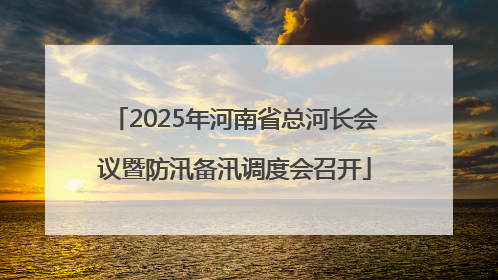 2025年河南省总河长会议暨防汛备汛调度会召开