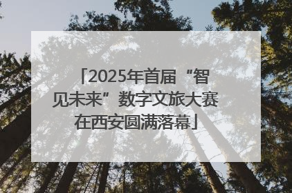 2025年首届“智见未来”数字文旅大赛在西安圆满落幕