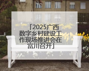2025广西数字乡村建设工作现场推进会在富川召开