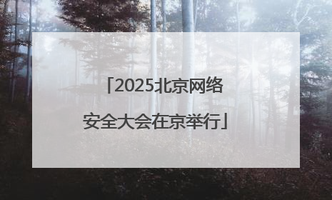 2025北京网络安全大会在京举行