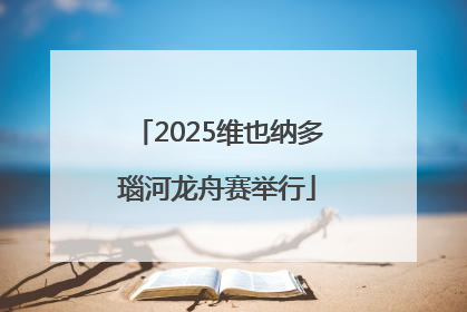 2025维也纳多瑙河龙舟赛举行