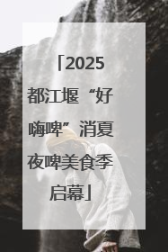 2025都江堰“好嗨啤”消夏夜啤美食季启幕