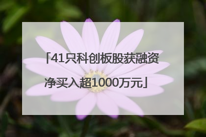 41只科创板股获融资净买入超1000万元