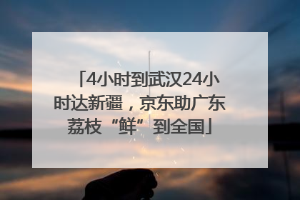 4小时到武汉24小时达新疆，京东助广东荔枝“鲜”到全国