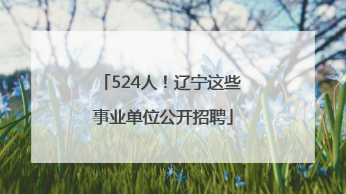 524人！辽宁这些事业单位公开招聘