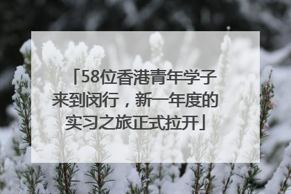 58位香港青年学子来到闵行，新一年度的实习之旅正式拉开
