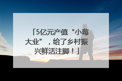 5亿元产值“小莓大业”，给了乡村振兴鲜活注脚！