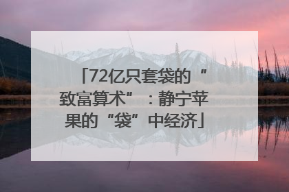 72亿只套袋的“致富算术”：静宁苹果的“袋”中经济