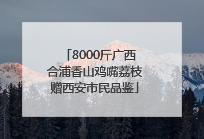 8000斤广西合浦香山鸡嘴荔枝赠西安市民品鉴