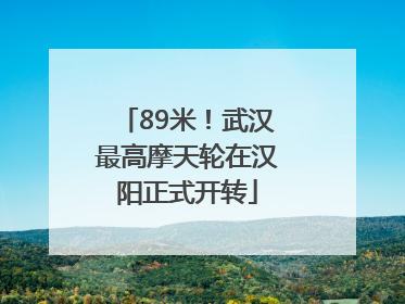 89米！武汉最高摩天轮在汉阳正式开转